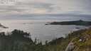 ./images/calvert/foggy-cove/20250629/foggy-cove20250629_184511M.jpg