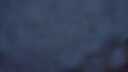 ./images/calvert/foggy-cove/20250630/foggy-cove20250630_043009M.jpg