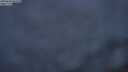 ./images/calvert/foggy-cove/20250630/foggy-cove20250630_043508M.jpg