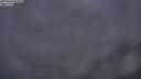 ./images/calvert/foggy-cove/20250630/foggy-cove20250630_044508M.jpg