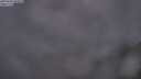./images/calvert/foggy-cove/20250630/foggy-cove20250630_045008M.jpg