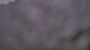 ./images/calvert/foggy-cove/20250630/foggy-cove20250630_045509M.jpg