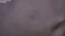 ./images/calvert/foggy-cove/20250630/foggy-cove20250630_050507M.jpg