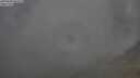 ./images/calvert/foggy-cove/20250630/foggy-cove20250630_052509M.jpg