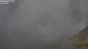 ./images/calvert/foggy-cove/20250630/foggy-cove20250630_054008M.jpg