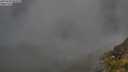 ./images/calvert/foggy-cove/20250630/foggy-cove20250630_055508M.jpg
