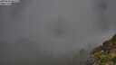 ./images/calvert/foggy-cove/20250630/foggy-cove20250630_061510M.jpg