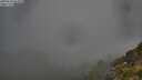 ./images/calvert/foggy-cove/20250630/foggy-cove20250630_062010M.jpg
