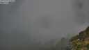 ./images/calvert/foggy-cove/20250630/foggy-cove20250630_062510M.jpg
