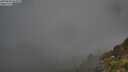 ./images/calvert/foggy-cove/20250630/foggy-cove20250630_063509M.jpg