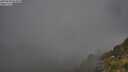./images/calvert/foggy-cove/20250630/foggy-cove20250630_064010M.jpg
