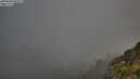 ./images/calvert/foggy-cove/20250630/foggy-cove20250630_064508M.jpg