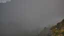 ./images/calvert/foggy-cove/20250630/foggy-cove20250630_065009M.jpg