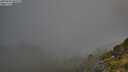 ./images/calvert/foggy-cove/20250630/foggy-cove20250630_065508M.jpg