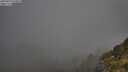 ./images/calvert/foggy-cove/20250630/foggy-cove20250630_070010M.jpg