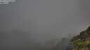 ./images/calvert/foggy-cove/20250630/foggy-cove20250630_071009M.jpg