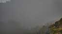 ./images/calvert/foggy-cove/20250630/foggy-cove20250630_071510M.jpg