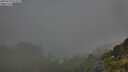 ./images/calvert/foggy-cove/20250630/foggy-cove20250630_072509M.jpg