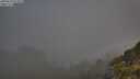 ./images/calvert/foggy-cove/20250630/foggy-cove20250630_073010M.jpg
