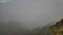 ./images/calvert/foggy-cove/20250630/foggy-cove20250630_075011M.jpg