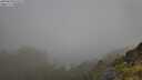 ./images/calvert/foggy-cove/20250630/foggy-cove20250630_075510M.jpg