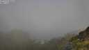 ./images/calvert/foggy-cove/20250630/foggy-cove20250630_080510M.jpg
