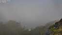 ./images/calvert/foggy-cove/20250630/foggy-cove20250630_081010M.jpg