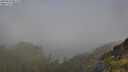 ./images/calvert/foggy-cove/20250630/foggy-cove20250630_081510M.jpg