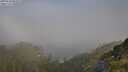 ./images/calvert/foggy-cove/20250630/foggy-cove20250630_082010M.jpg