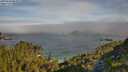 ./images/calvert/foggy-cove/20250630/foggy-cove20250630_084010M.jpg