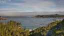 ./images/calvert/foggy-cove/20250630/foggy-cove20250630_084511M.jpg
