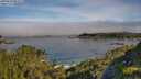 ./images/calvert/foggy-cove/20250630/foggy-cove20250630_085509M.jpg