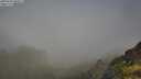 ./images/calvert/foggy-cove/20250630/foggy-cove20250630_091011M.jpg