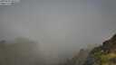 ./images/calvert/foggy-cove/20250630/foggy-cove20250630_091511M.jpg
