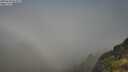 ./images/calvert/foggy-cove/20250630/foggy-cove20250630_092012M.jpg