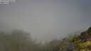 ./images/calvert/foggy-cove/20250630/foggy-cove20250630_093009M.jpg