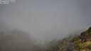 ./images/calvert/foggy-cove/20250630/foggy-cove20250630_093509M.jpg