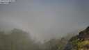 ./images/calvert/foggy-cove/20250630/foggy-cove20250630_094009M.jpg