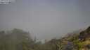 ./images/calvert/foggy-cove/20250630/foggy-cove20250630_094510M.jpg