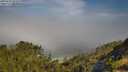 ./images/calvert/foggy-cove/20250630/foggy-cove20250630_095010M.jpg