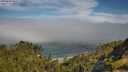 ./images/calvert/foggy-cove/20250630/foggy-cove20250630_095509M.jpg