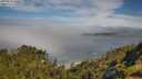 ./images/calvert/foggy-cove/20250630/foggy-cove20250630_100010M.jpg