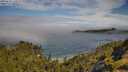 ./images/calvert/foggy-cove/20250630/foggy-cove20250630_100510M.jpg
