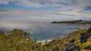 ./images/calvert/foggy-cove/20250630/foggy-cove20250630_101010M.jpg