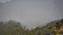 ./images/calvert/foggy-cove/20250630/foggy-cove20250630_102509M.jpg