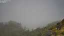 ./images/calvert/foggy-cove/20250630/foggy-cove20250630_103010M.jpg