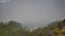 ./images/calvert/foggy-cove/20250630/foggy-cove20250630_103510M.jpg
