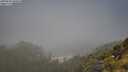 ./images/calvert/foggy-cove/20250630/foggy-cove20250630_104008M.jpg