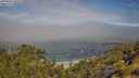 ./images/calvert/foggy-cove/20250630/foggy-cove20250630_105508M.jpg