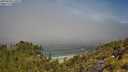 ./images/calvert/foggy-cove/20250630/foggy-cove20250630_110509M.jpg